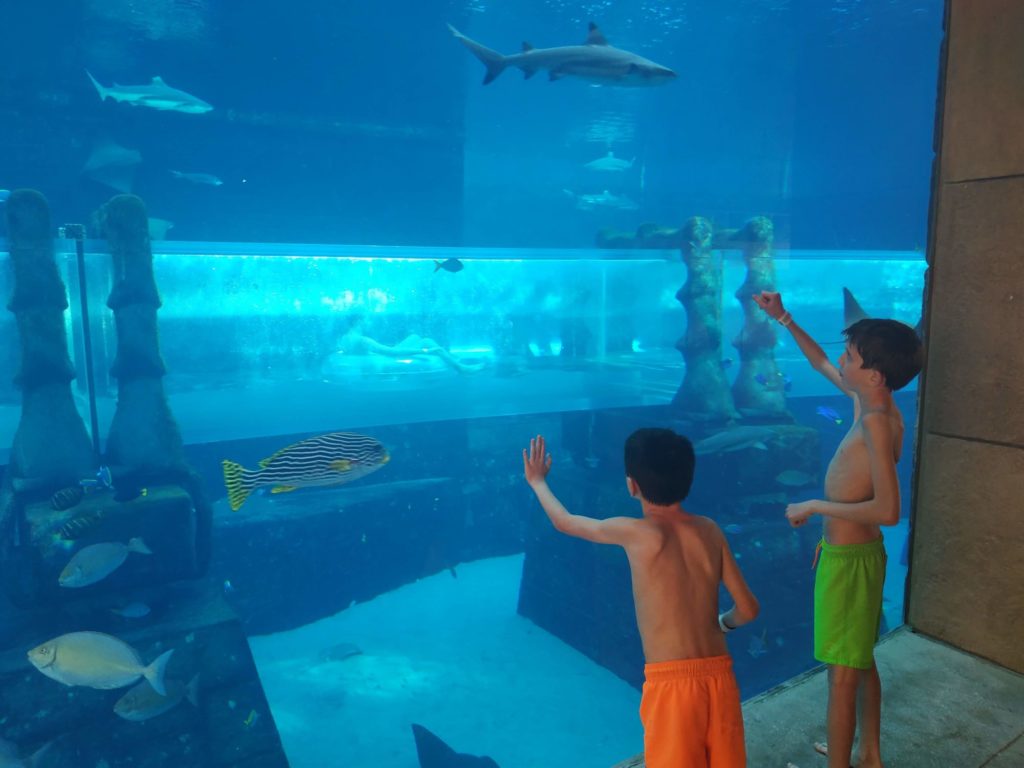 Atlantis the Palm Hotel Dubai, Aquaventure Waterpark