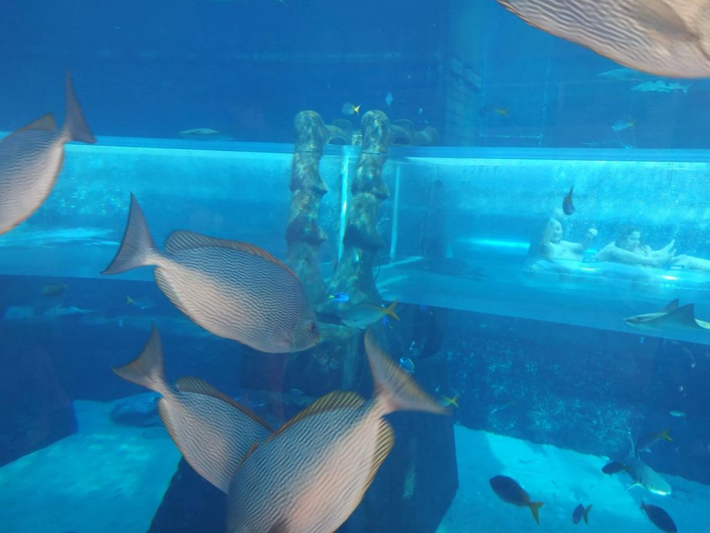 Atlantis Dubaj Aquaventure Aquapark